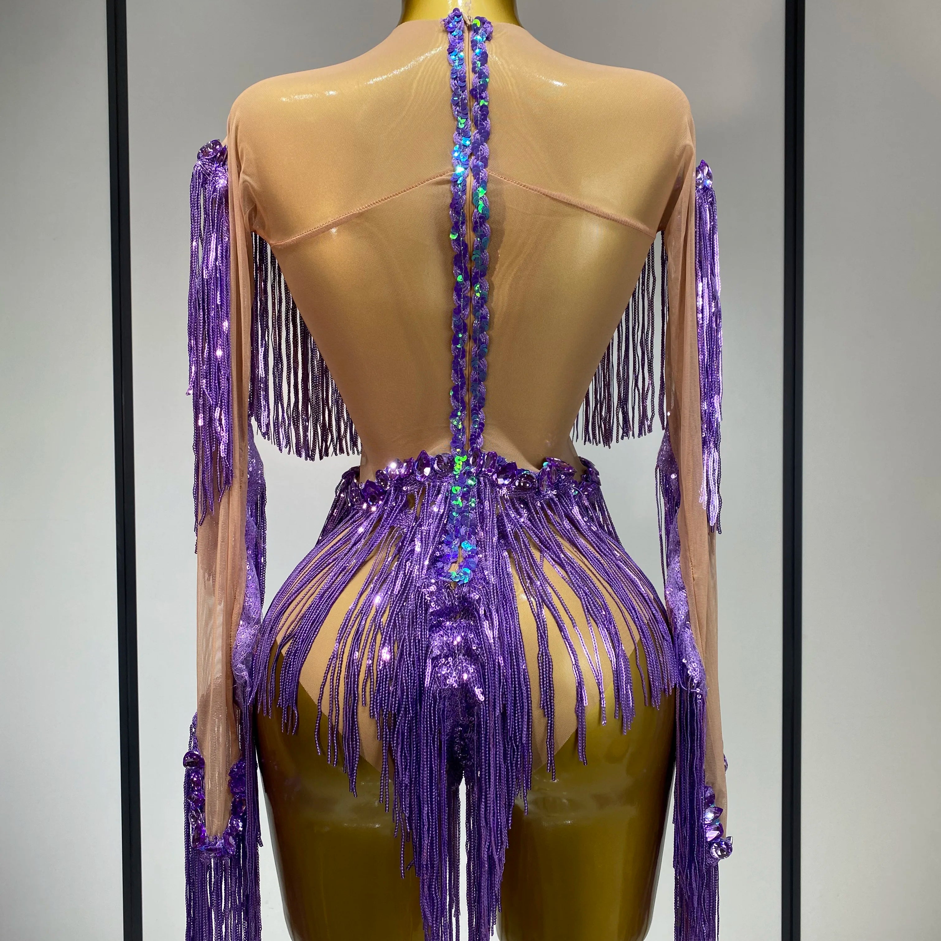 Sparkly Tassel Rhinestones Long Sleeves Sexy Stretch Mesh See Through Bodysuit Women Nightclub Stage Singer Perform Costume