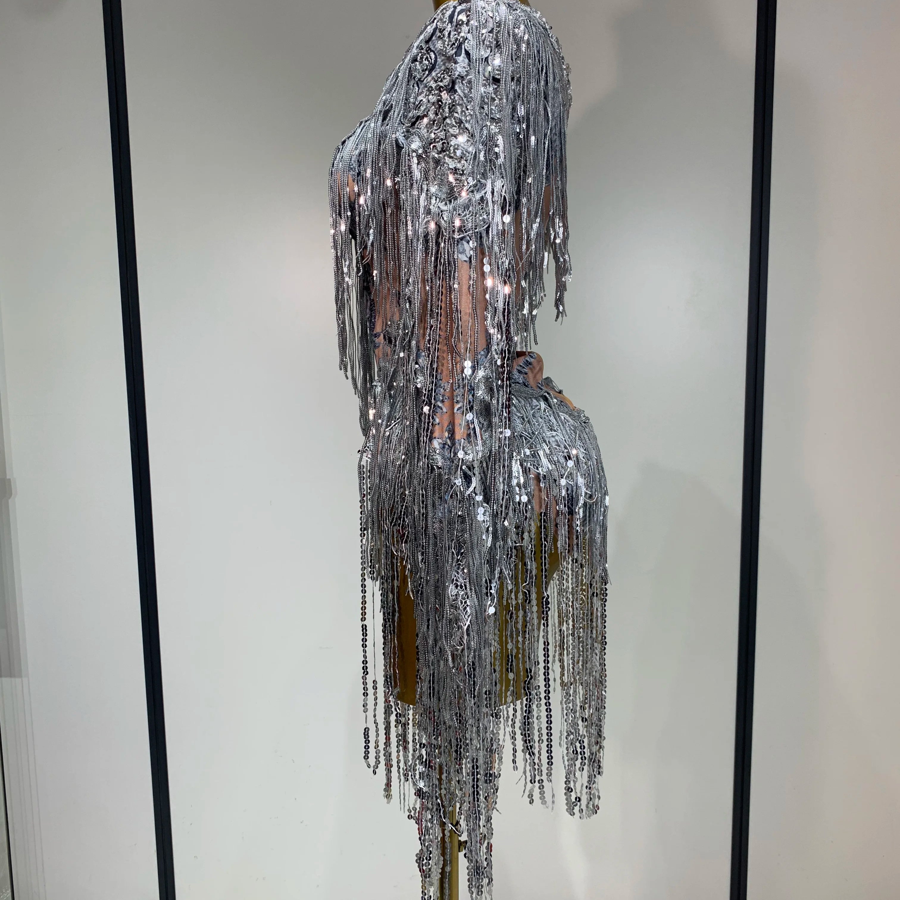 Sparkly Sequin Tassels Long Sleeve Silver Bodysuit Bar Women Singer Show Costume Celebrate Outfit Evening Dance Stage Outfit