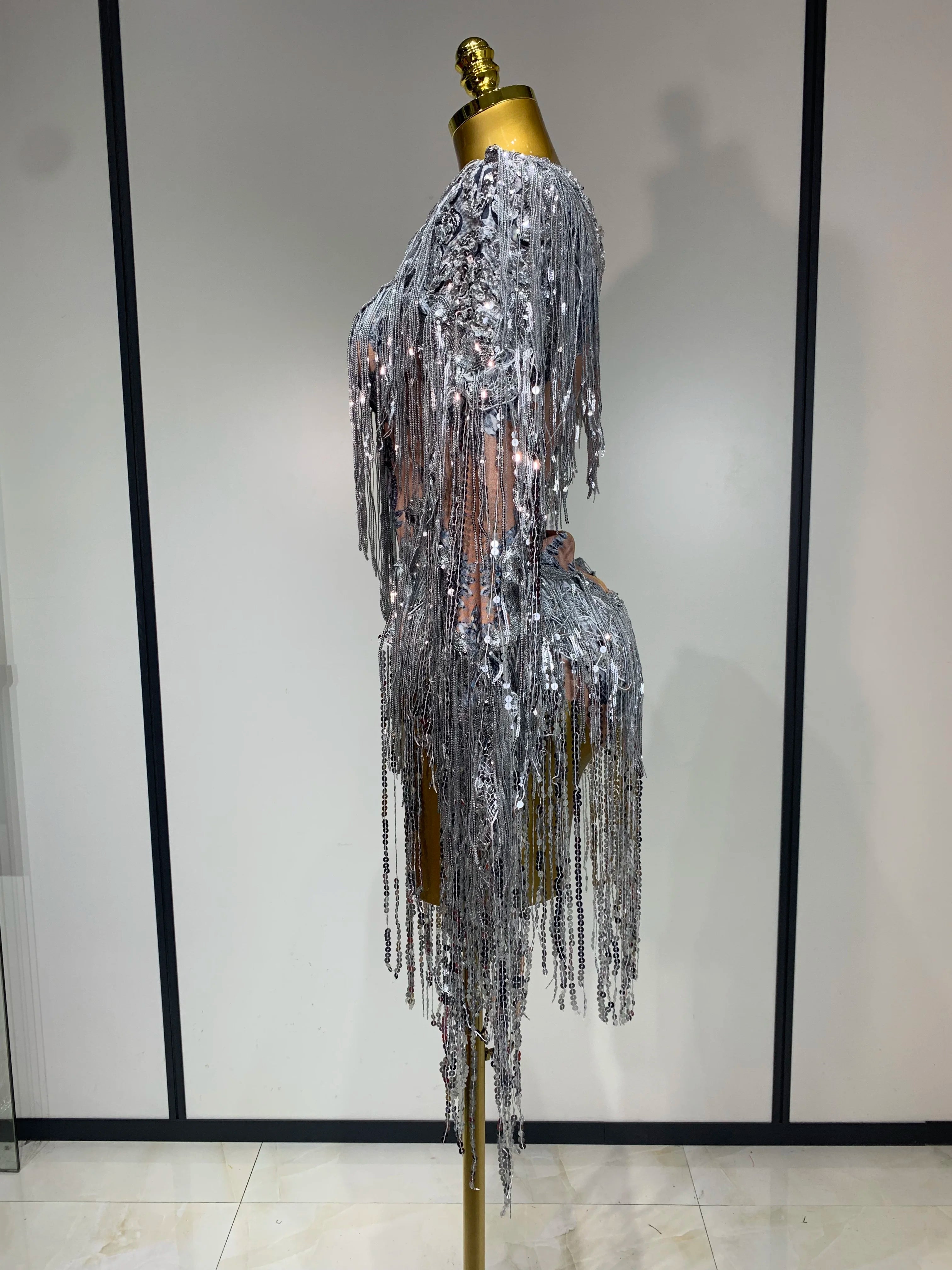 Sparkly Sequin Tassels Long Sleeve Silver Bodysuit Bar Women Singer Show Costume Celebrate Outfit Evening Dance Stage Outfit